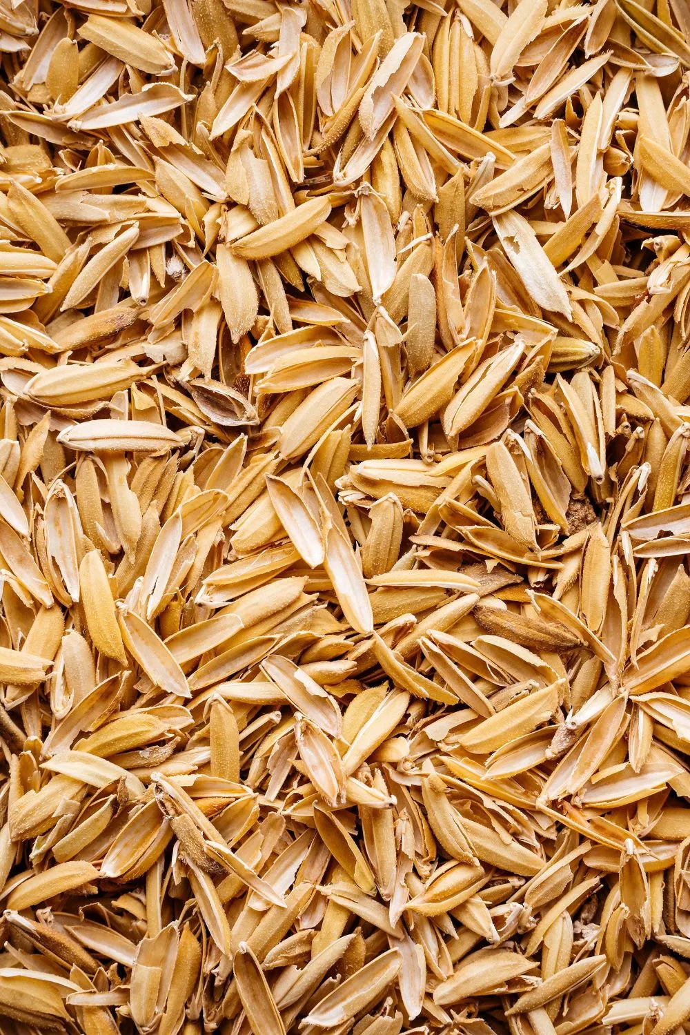 Rice husk and rice bran agricultural by-products