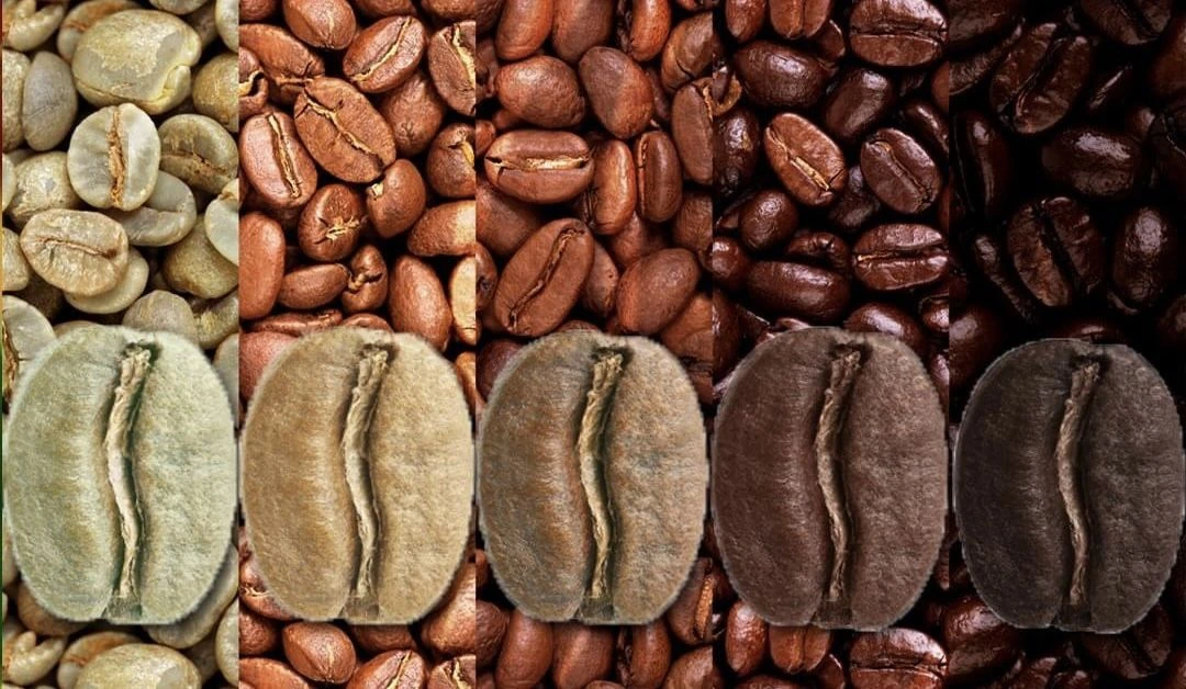 Arabica and Robusta coffee beans