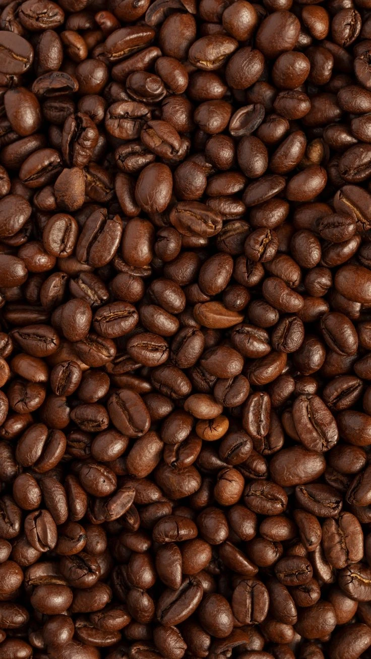 Roasted Arabica coffee beans for wholesale and retail packing