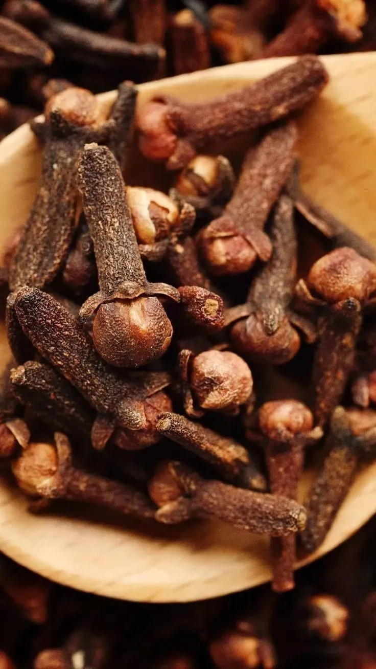 Aromatic dried Indonesian cloves for export