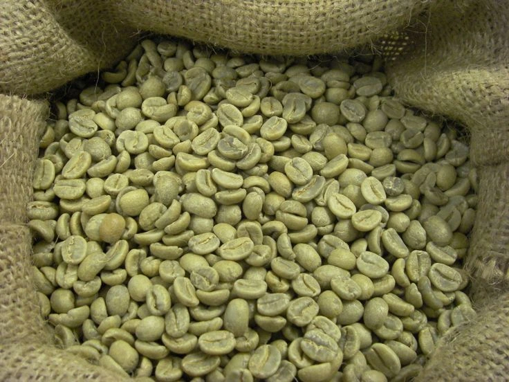 Indonesian Robusta green coffee beans for export