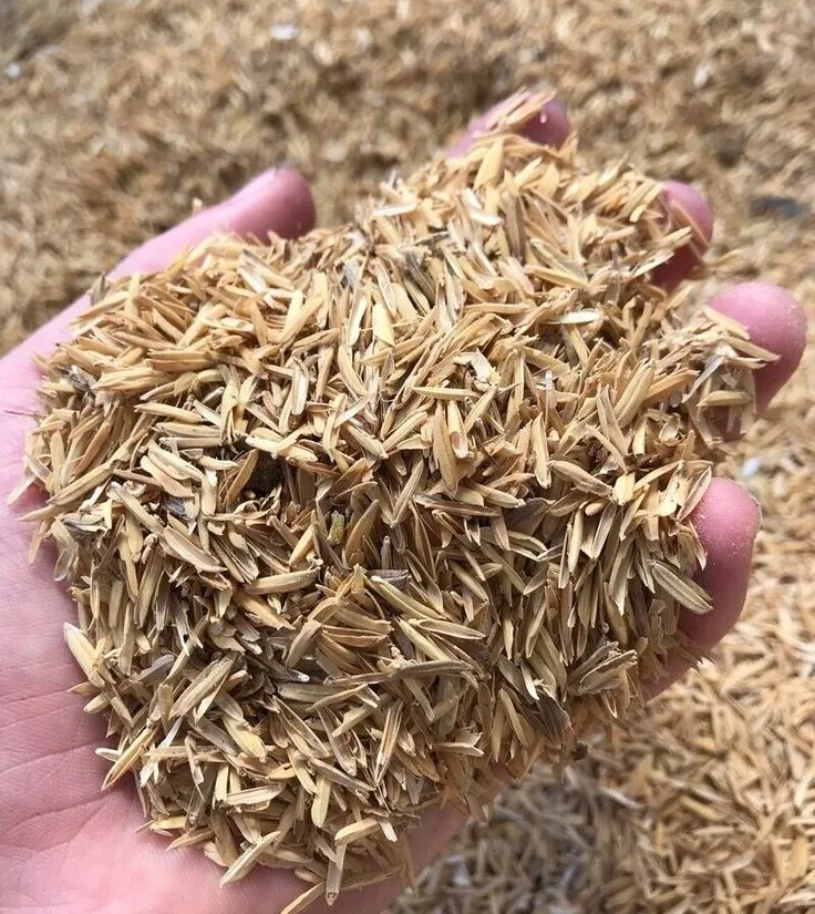Indonesian rice husk for biomass bedding and industrial use inquiries
