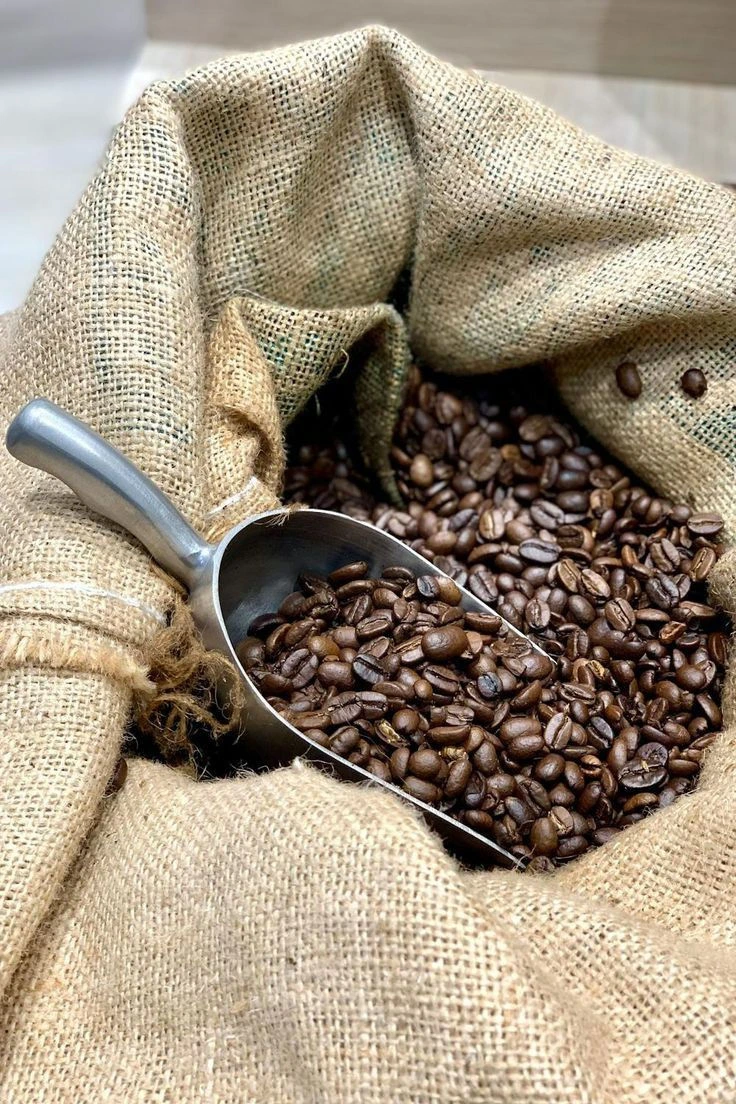 Roasted Robusta coffee beans for international supply